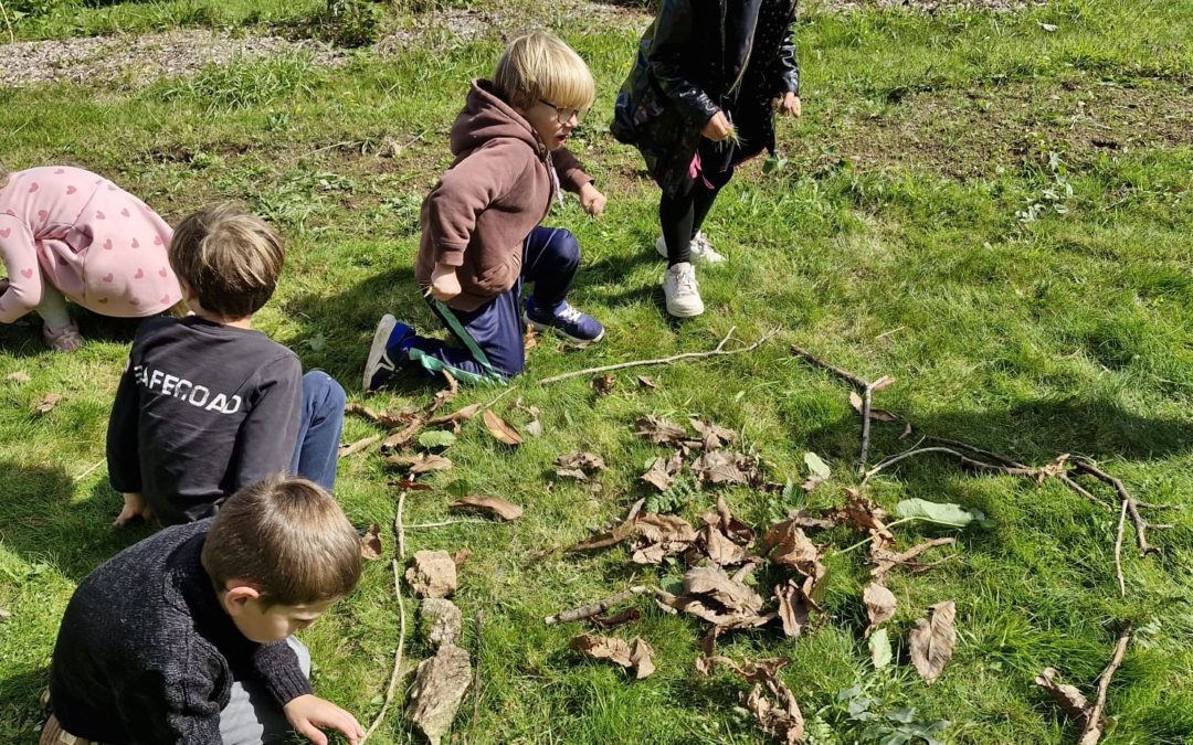 Landart d’automne chez les GS et non dormeurs